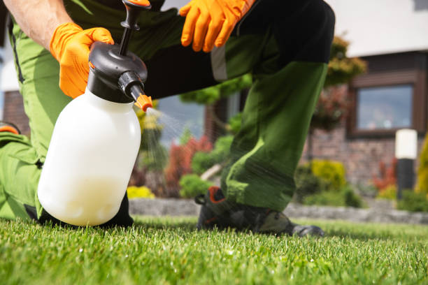 Best Pest Control for Businesses  in Hanscom Af, MA