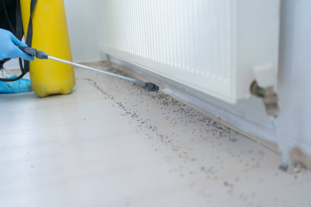 Best Pest Removal Services  in Hanscom Af, MA