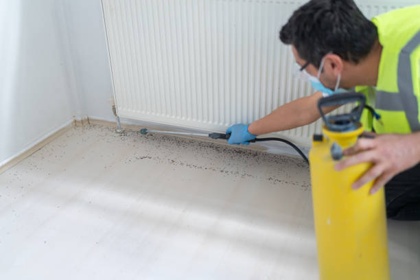 Best Wasp Removal Services  in Hanscom Af, MA
